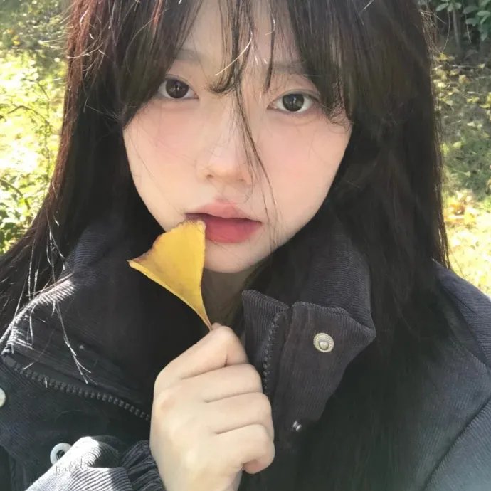 闪闪的红星 动画版